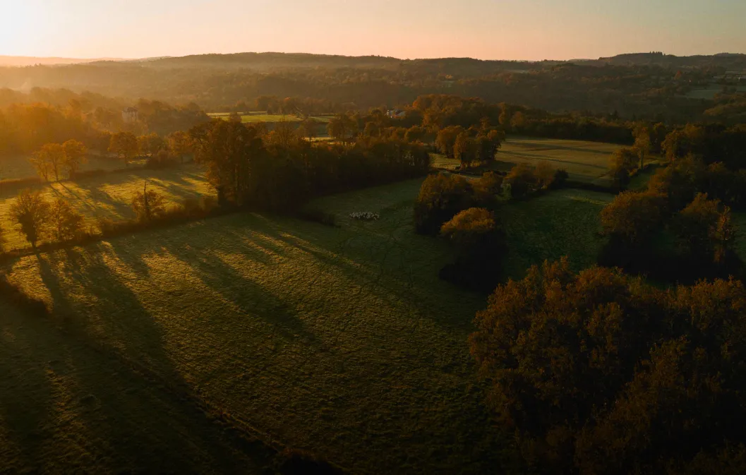 Comment rentabiliser un terrain agricole en 2026 ?
