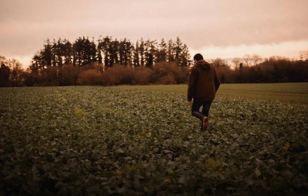 L'aide à l'installation agricole et l'accès aux subventions
