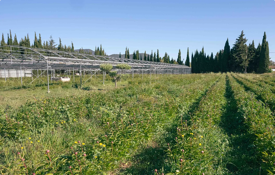 Agriculture biologique : s'installer en bio, combien ça coûte vraiment ?